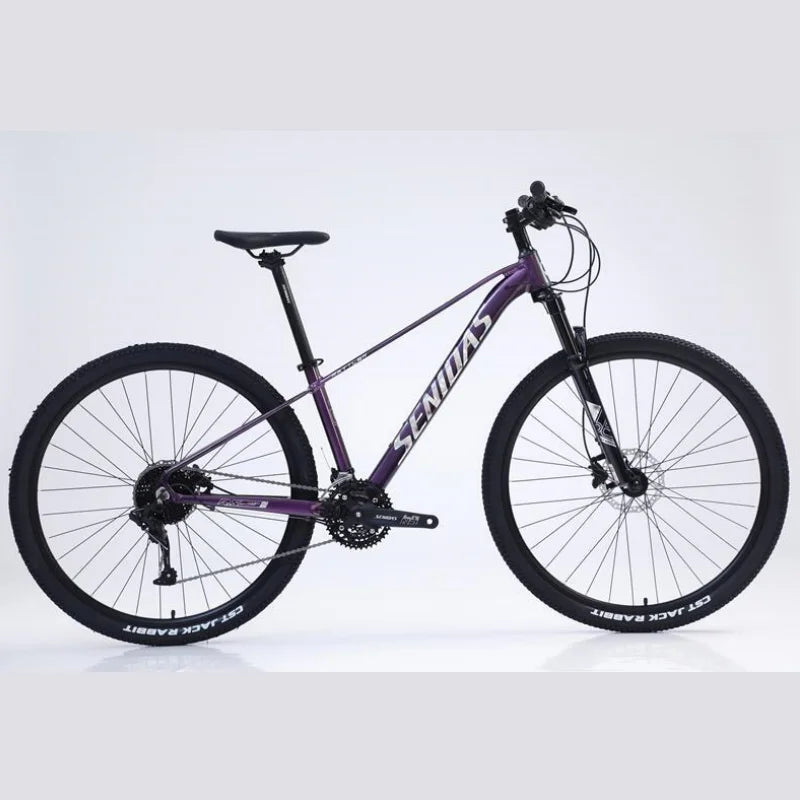 29-inch 30-speed MTB with Alloy Frame Hydraulic Disc Brakes Shock-Absorb Fork