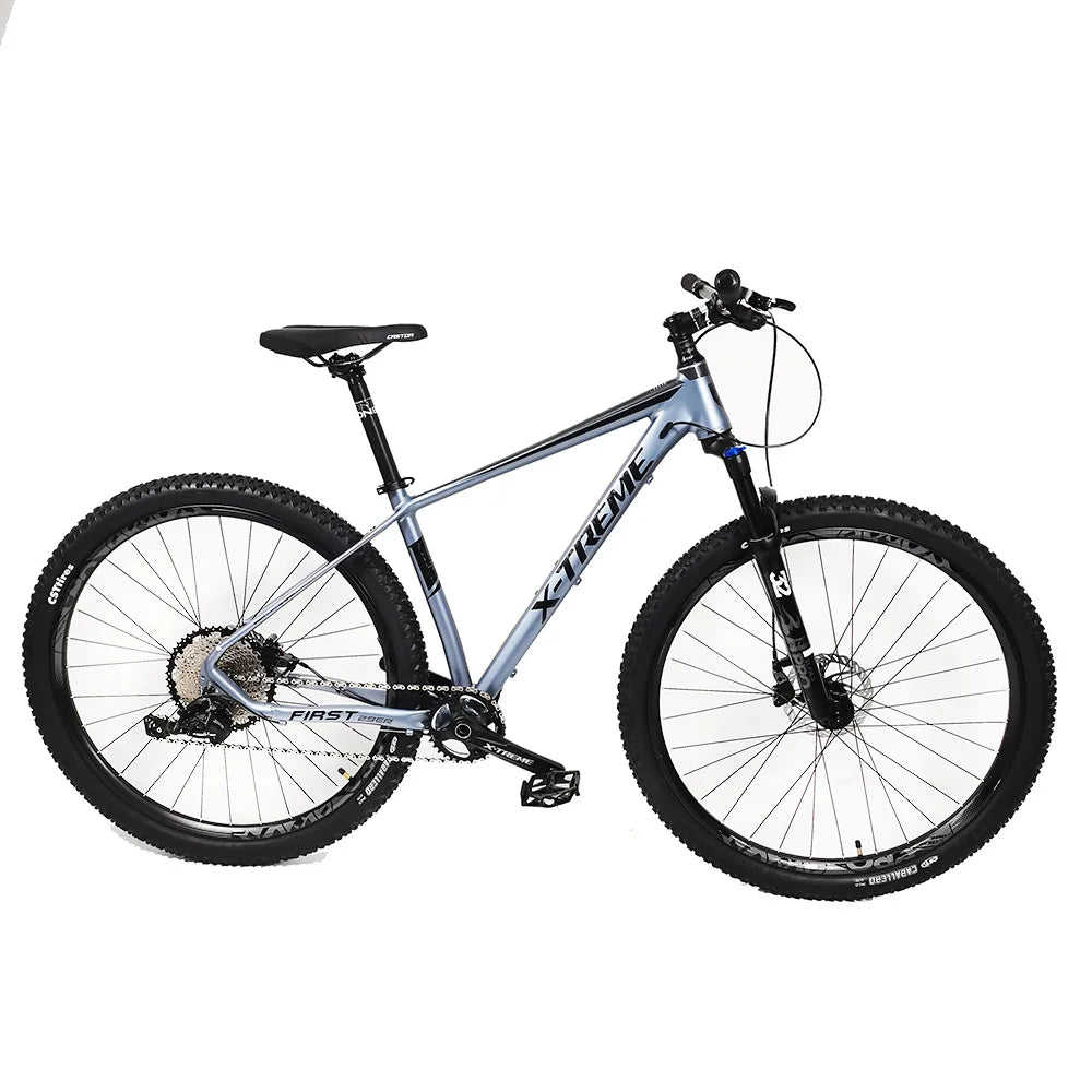 29-inch 12 Speed Mountain Bike MTB with Hydraulic Disc Brakes and Alloy Frame