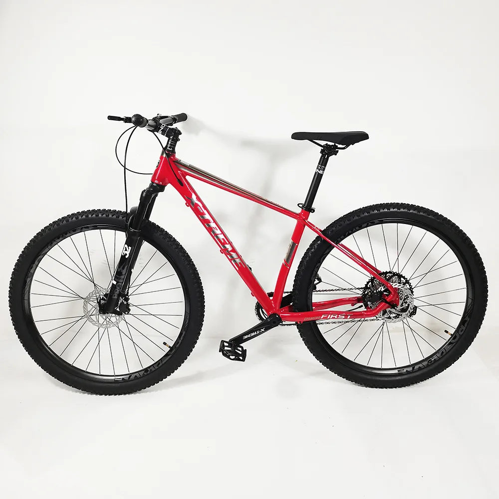 29-inch 12 Speed Mountain Bike MTB with Hydraulic Disc Brakes and Alloy Frame