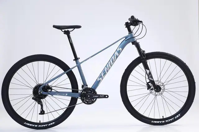 29-inch 30-speed MTB with Alloy Frame Hydraulic Disc Brakes Shock-Absorb Fork